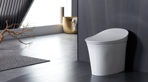 design toilet